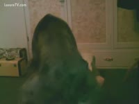 My dog is fucking me harder